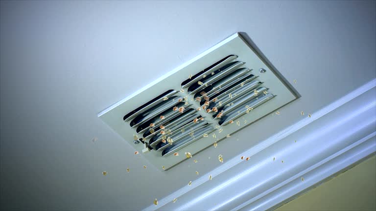 Best Home Air Vent Cleaning  in Plymouth, MI